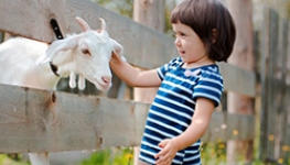 decouvrir-les-animaux-de-la-ferme-avec-les-enfants-860x450-1.jpg