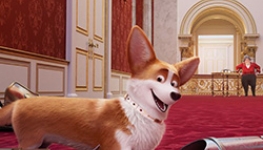 royal_corgi2.jpg
