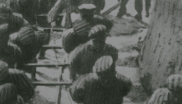 slider_camp_mauthausen.png