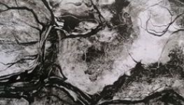 tempetemonotype26x60cm2019sg-2.jpg