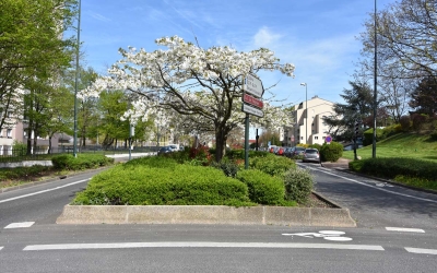 Avenue des Frances