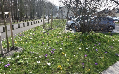 Parking du Plessis-Bouchard