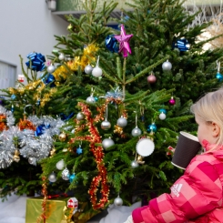decoration des sapins.jpg