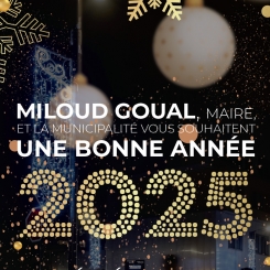 bonne_annee_2025_vignette.jpg bonne_annee_2025_vignette.jpg
