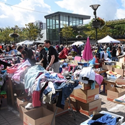 brocante_mlc.jpg