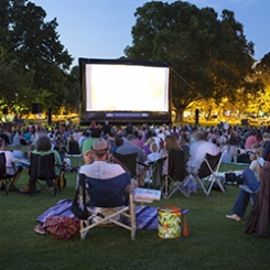 cinema_plein_air2.jpg