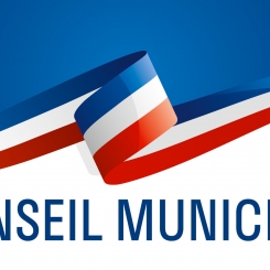 conseil_municipal_msi_jpg.jpg