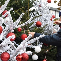 decoration_sapin.jpg decoration_sapin.jpg