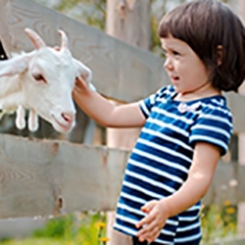 decouvrir-les-animaux-de-la-ferme-avec-les-enfants-860x450-2.jpg decouvrir-les-animaux-de-la-ferme-avec-les-enfants-860x450-2.jpg