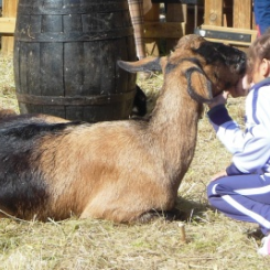 ferme.png ferme.png