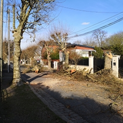 lalanne_vignette.jpg lalanne_vignette.jpg