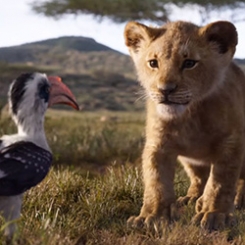 le_roi_lion_4.jpg le_roi_lion_4.jpg