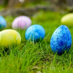 paque chasse aux oeufs.jpg paque chasse aux oeufs.jpg