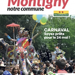 mncmai409-1.jpg