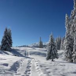 neige.jpg neige.jpg