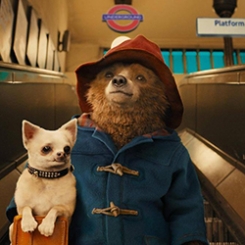 paddington_site.jpg paddington_site.jpg