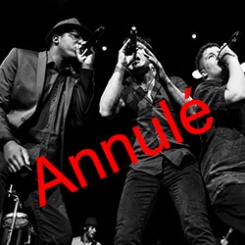 percujam_0_annule.jpg percujam_0_annule.jpg