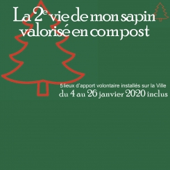 recyclage_sapin5_vignette.jpg recyclage_sapin5_vignette.jpg