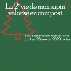 recyclage_sapin5_vignette.jpg