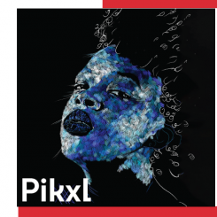 regart_pikxel_vignette.png regart_pikxel_vignette.png