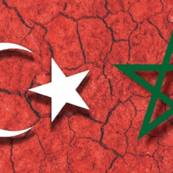 solidarite.jpg solidarite.jpg