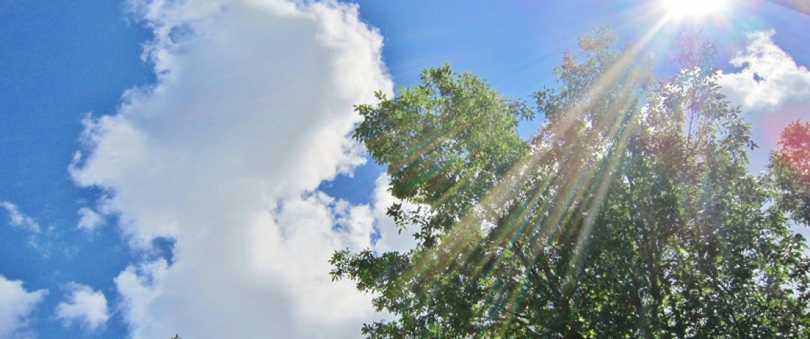 very_hot_sunshine_of_july._chaud_soleil_de_canicule_de_juillet_-_panoramio.jpg