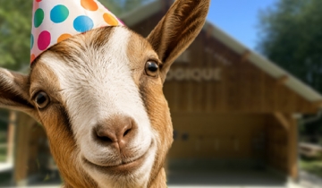 anniversaire_ferme_vignette.jpg