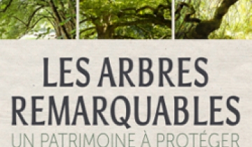 arbres_remarquables.jpg