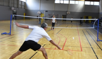 badminton_vignette.jpg