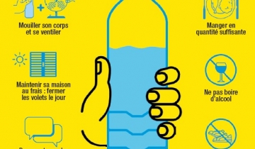 canicule_vignette.jpg
