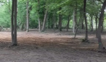 chesnaie_apercu.jpg