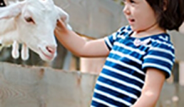 decouvrir-les-animaux-de-la-ferme-avec-les-enfants-860x450-2.jpg