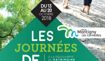 journees_de_larbre_vignette.jpg