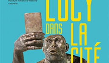 lucy_vignette.jpg