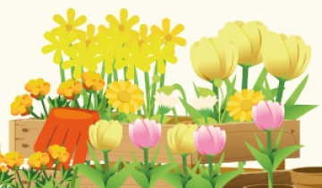 marche-aux-fleurs-vignette.jpg