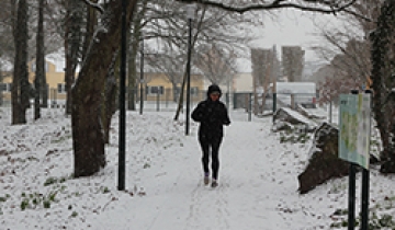 neige_0119.jpg
