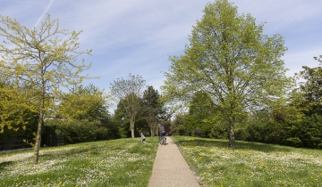 verdure_240418_042bd.jpg