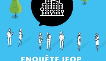 vignette-sondage-ifop.jpg