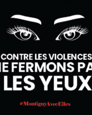 guideviolences2024.png